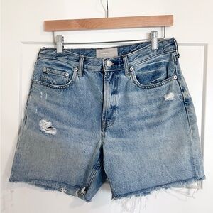Everlane The Denim Short Jean Cutoff Shorts
